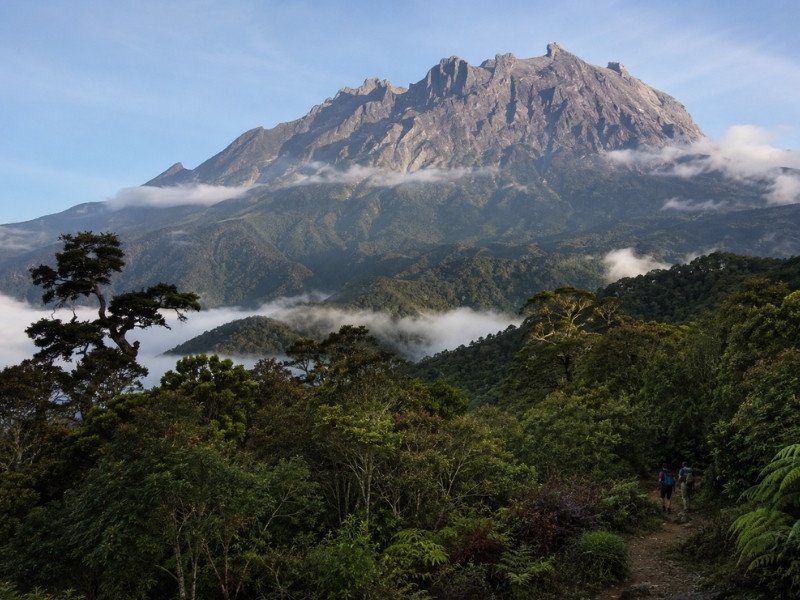 Mount Kinabalu rising above Sabah rainforest, low clouds and a scenic hiking trail