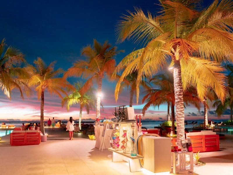 Sea Resort with Palm Trees at Night
