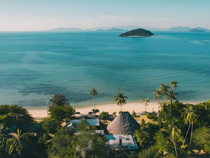 Trees around Beach on Sea Shore