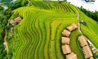 Tegalalang rice terraces in Ubud Bali with lush green tropical landscape