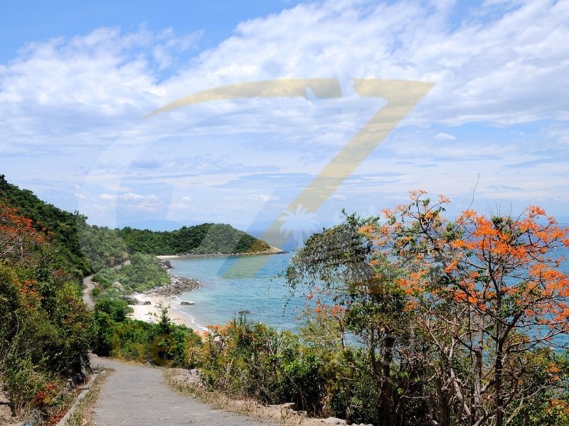 Vietnam beach holidays Da Nang coastline with palm trees and clear blue water
