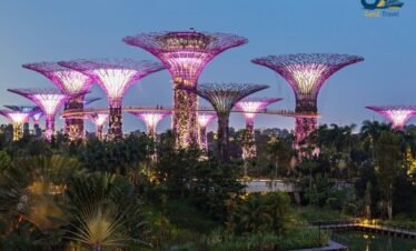 Gardens by the Bay Supertree Grove in Singapore with illuminated futuristic trees