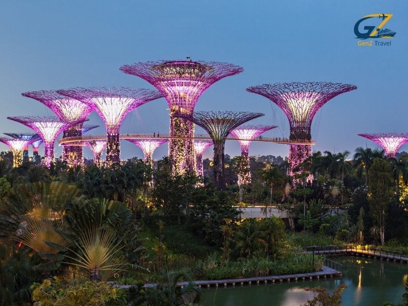 Gardens by the Bay Supertree Grove in Singapore with illuminated futuristic trees