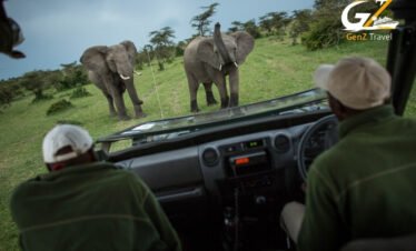 4x4 safari jeep game drive in Kenya with tourists spotting wildlife in Masai Mara reserve