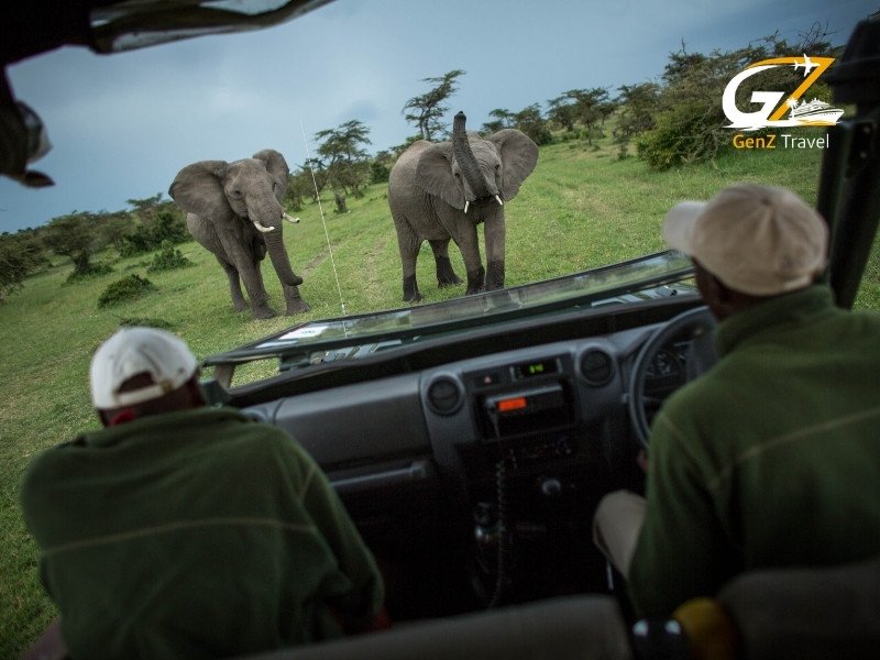 4x4 safari jeep game drive in Kenya with tourists spotting wildlife in Masai Mara reserve