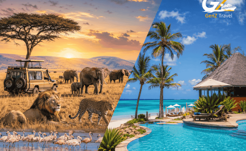 Kenya safari and Zanzibar beach holiday featuring Masai Mara wildlife, flamingos at Lake Nakuru, and luxury resort at Hotel Riu Jambo Zanzibar