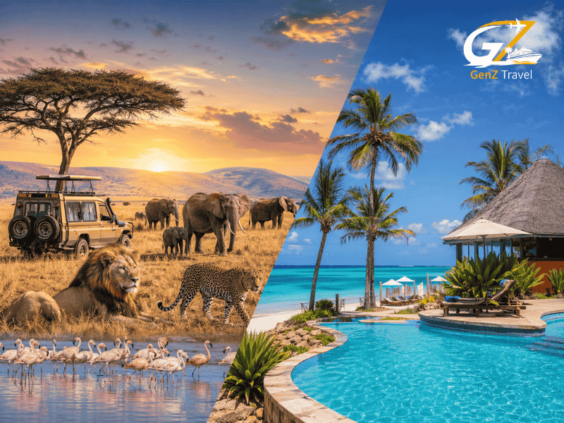 Kenya safari and Zanzibar beach holiday featuring Masai Mara wildlife, flamingos at Lake Nakuru, and luxury resort at Hotel Riu Jambo Zanzibar