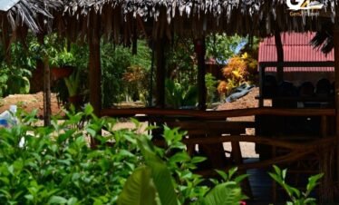 TreeHouse Villas Koh Yao Noi jungle luxury resort adults only Thailand holiday