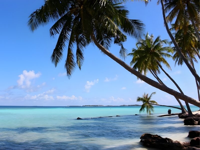 maafushi-maldives-tropical-beach-palm-trees