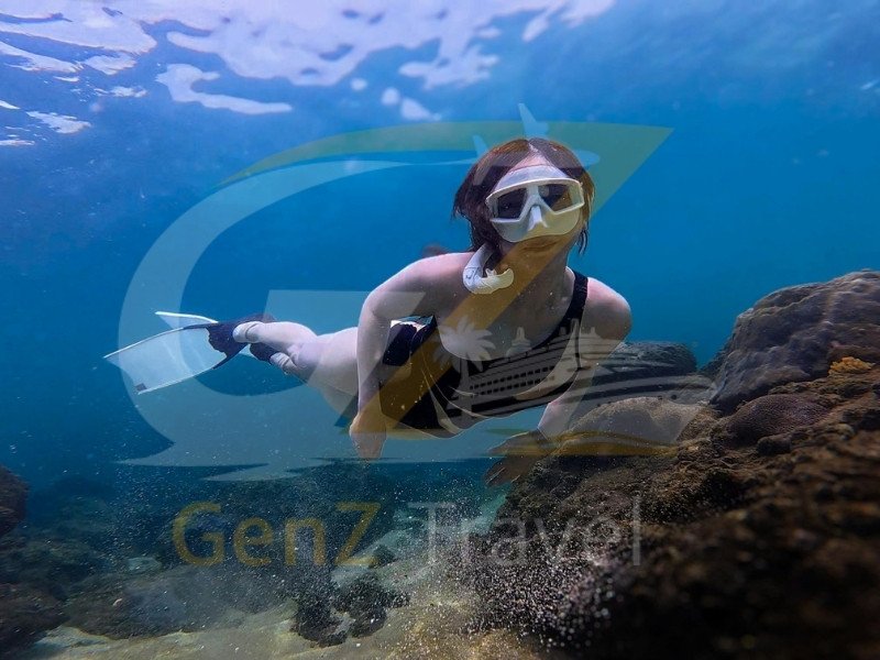 Snorkelling in Maldives coral reef with tropical fish, turtles and crystal clear water