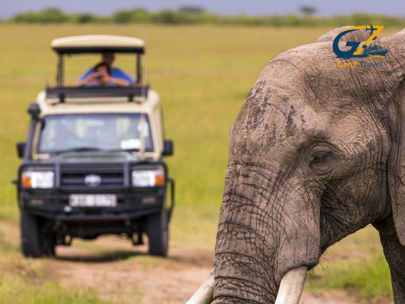 Masai Mara safari Kenya with Big Five wildlife including lions, elephants and giraffes in open savannah