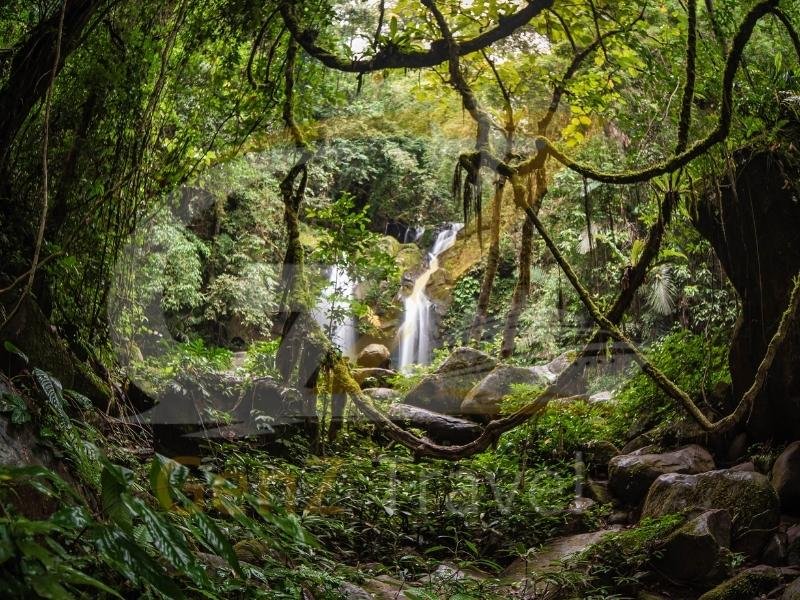 Chamarel waterfall in Mauritius surrounded by lush green rainforest landscape