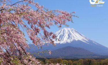 Mount Fuji with cherry blossoms Japan tour highlight from UK Asia package
