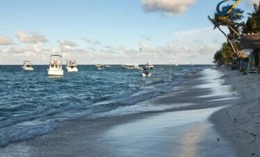 Luxury beachfront resort in Punta Cana with infinity pool and palm trees in Dominican Republic