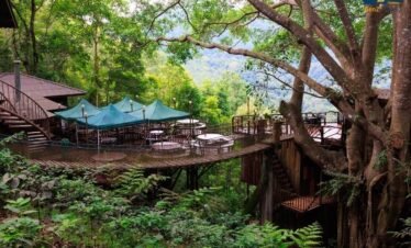 Luxury treehouse villa in Koh Yao Noi surrounded by tropical rainforest and Phang Nga Bay views in Thailand