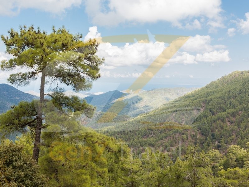 Troodos Mountains Cyprus with pine forests, valleys and scenic countryside views