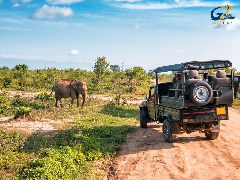 Wild elephants spotted during safari in Udawalawa National Park with jeep in background