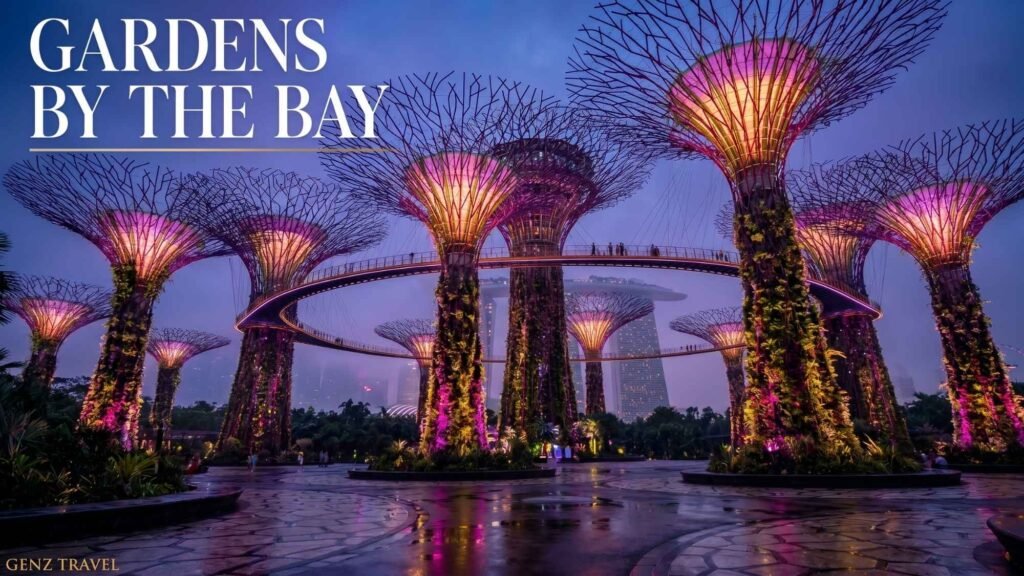 Illuminated Supertree Grove during the Garden Rhapsody light show at Gardens by the Bay Singapore.