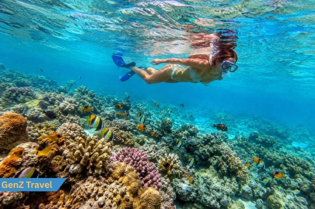 Snorkelling during holidays to the Maldives with colourful coral reef, tropical fish and clear blue water.