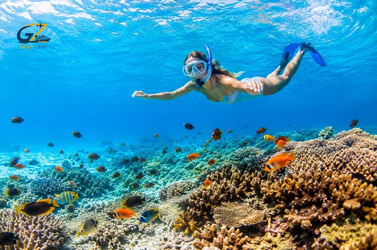 Snorkelling over coral reefs with tropical fish, one of the best Things to Do in Maldives for ocean lovers