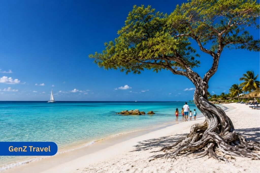 Aruba Caribbean beach with white sand, clear water and divi divi tree
