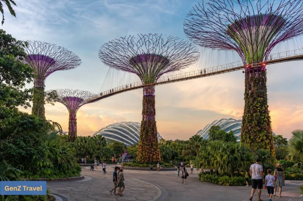 Supertree Grove and elevated skywalk at Gardens by the Bay during sunset in Singapore.