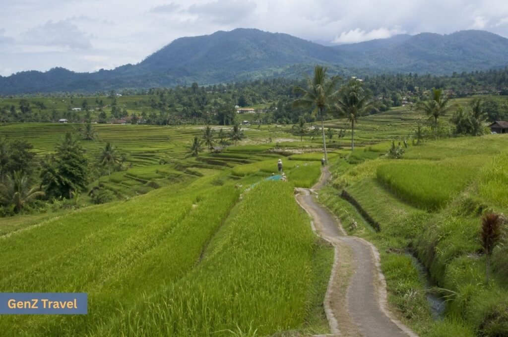 Walking path winding through the green Jatiluwih Rice Terraces beneath Bali’s mountains.