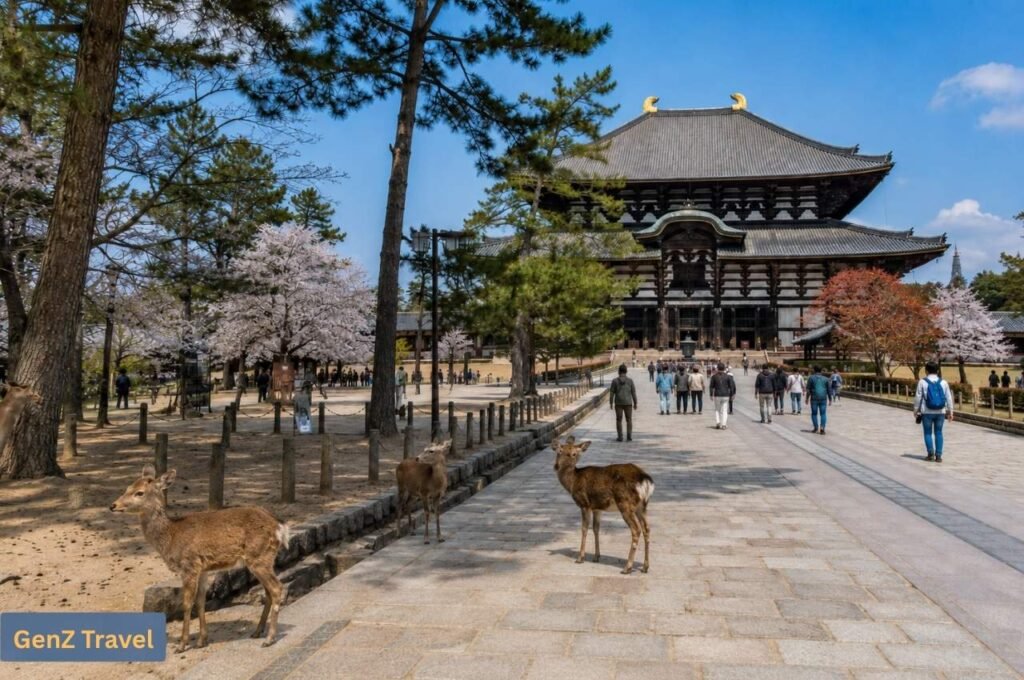 Nara: Free-roaming deer near Todai-ji Temple in Nara Park.