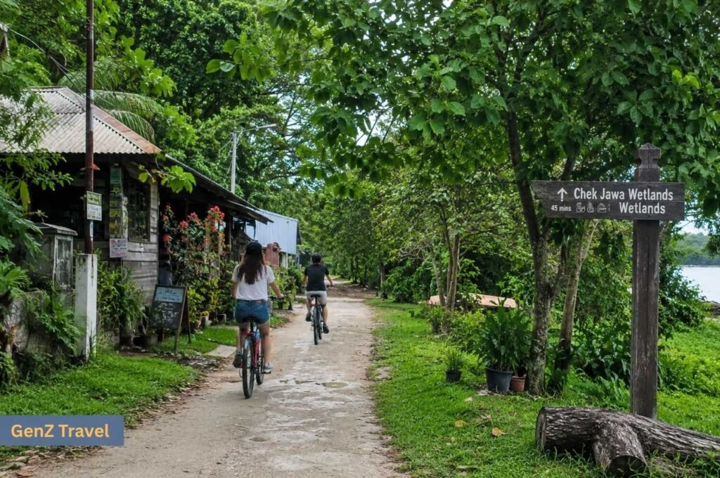 Cyclists riding along a leafy trail towards Chek Jawa Wetlands on Pulau Ubin