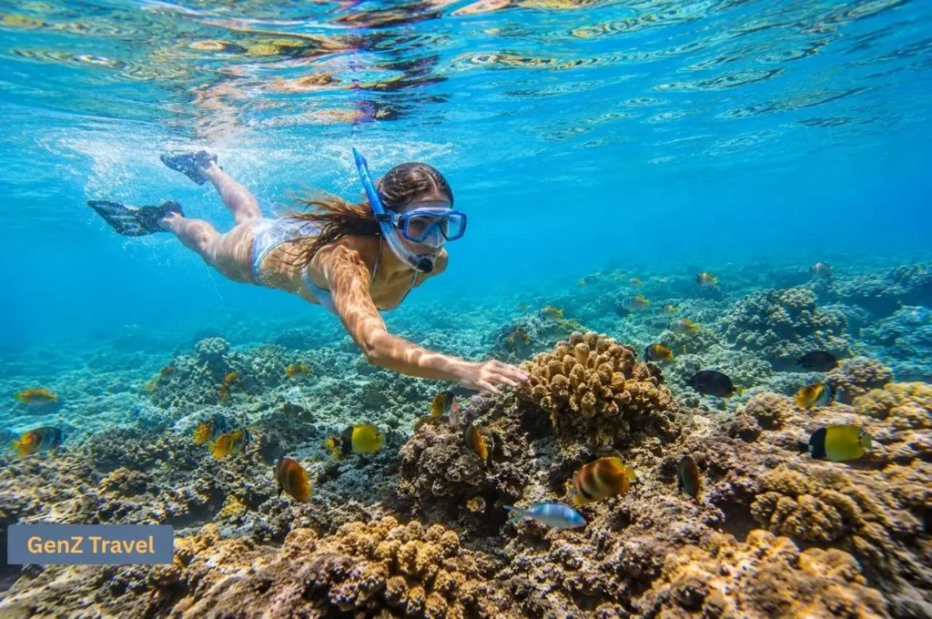 Woman snorkelling above a colourful coral reef in clear tropical waters near Phuket
