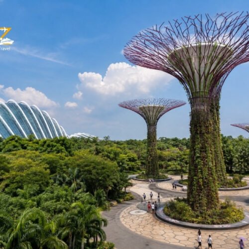 Supertree Grove and glass conservatories at Gardens by the Bay in Singapore on a bright sunny day