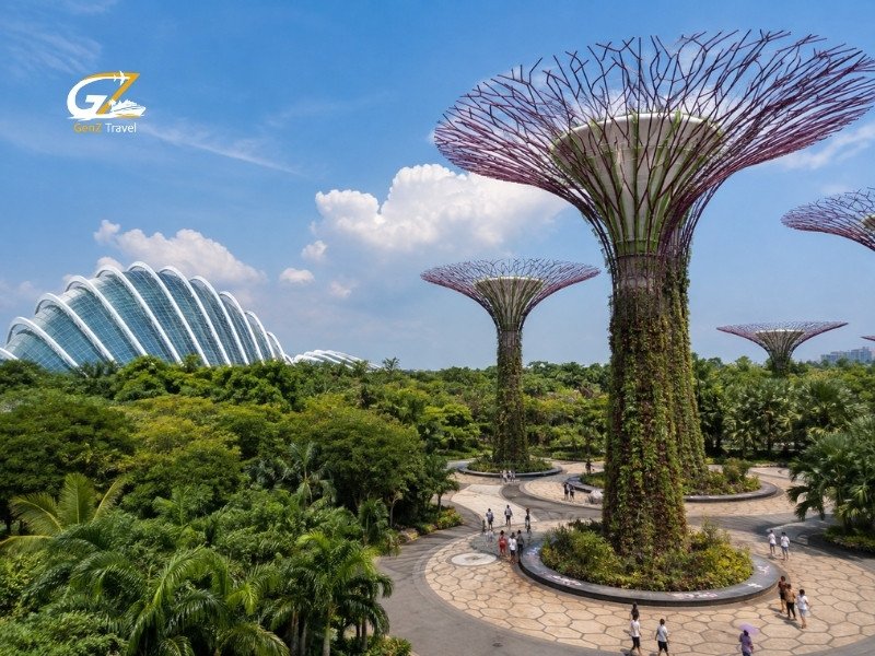 Supertree Grove and glass conservatories at Gardens by the Bay in Singapore on a bright sunny day