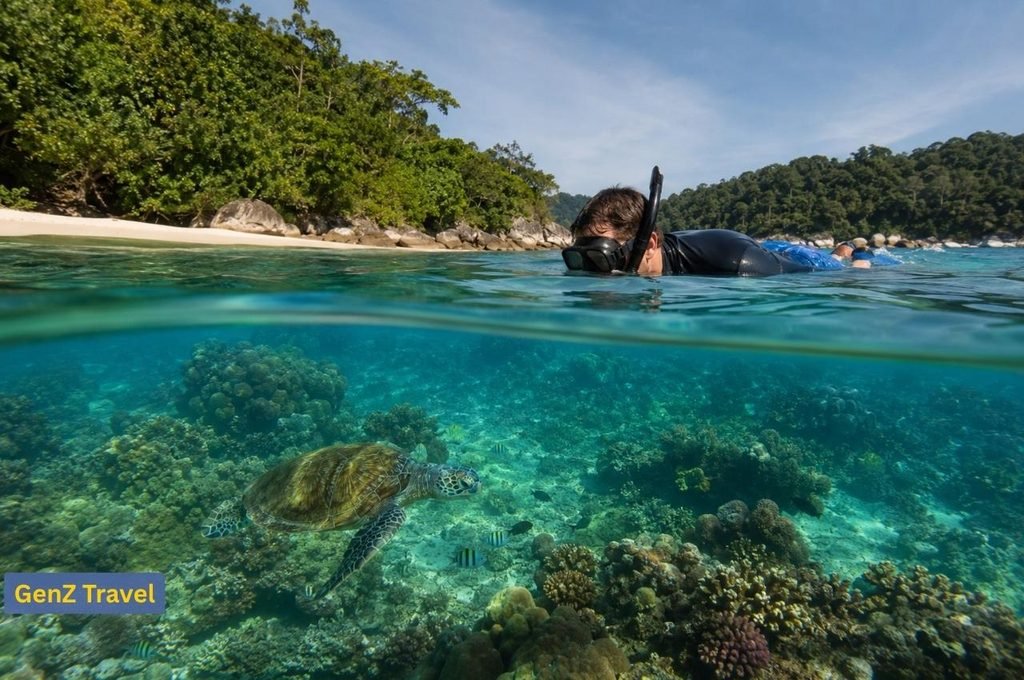 Traveller snorkelling above coral reefs and a green sea turtle in the clear waters of Malaysia’s Perhentian Islands.