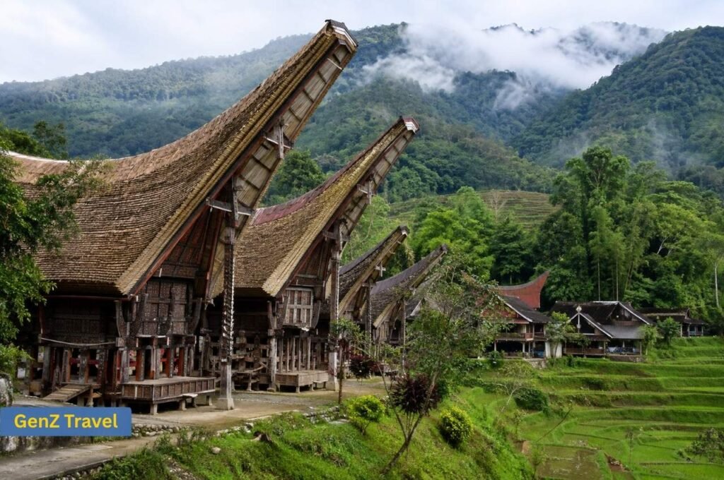Traditional Tongkonan houses and green rice terraces in Tana Toraja Sulawesi
