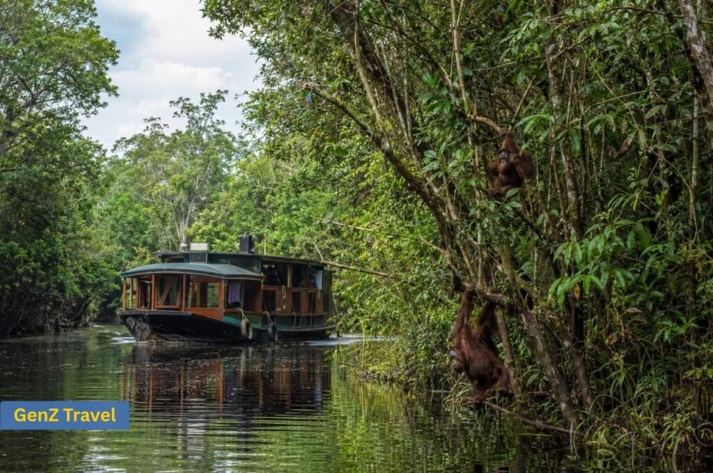 Klotok riverboat and orangutans in Tanjung Puting National Park Borneo