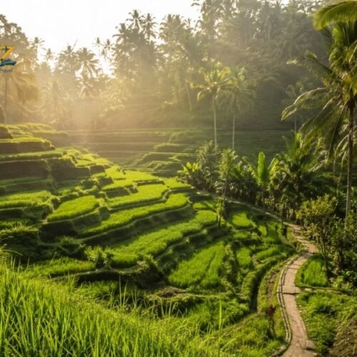 Lush green Tegallalang Rice Terraces surrounded by palm trees near Ubud, Bali