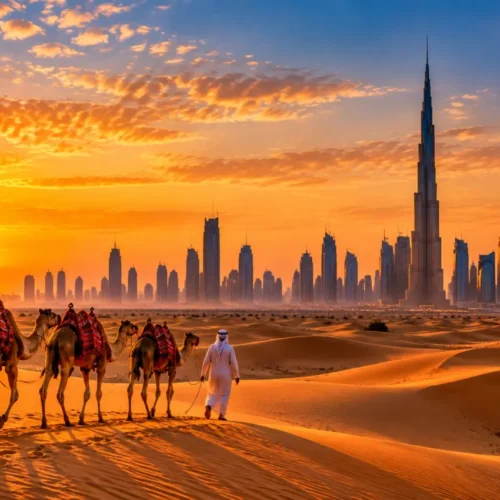 Dubai desert safari at sunset with camels walking across golden sand dunes and Burj Khalifa skyline in the background